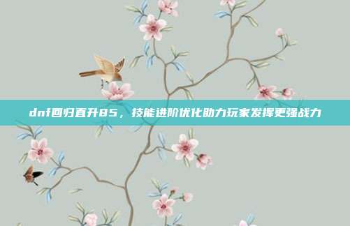 dnf回归直升85,技能进阶优化助力玩家发挥更强战力