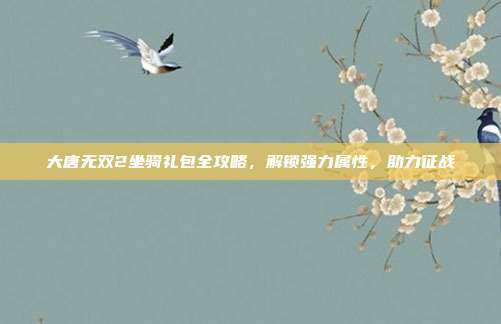 大唐无双2坐骑礼包全攻略,解锁强力属性,助力征战