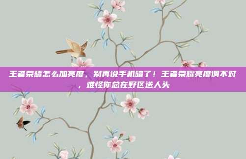 王者荣耀怎么加亮度，别再说手机暗了！王者荣耀亮度调不对，难怪你总在野区送人头