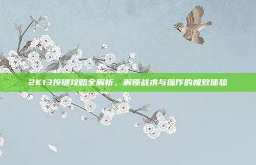 2K13按键攻略全解析,解锁战术与操作的极致体验