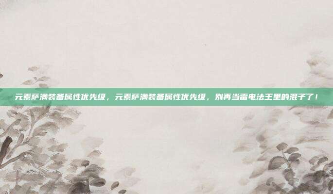元素萨满装备属性优先级，元素萨满装备属性优先级，别再当雷电法王里的混子了！