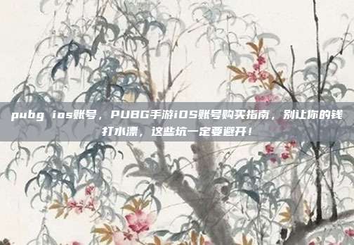 pubg ios账号，PUBG手游iOS账号购买指南，别让你的钱打水漂，这些坑一定要避开！