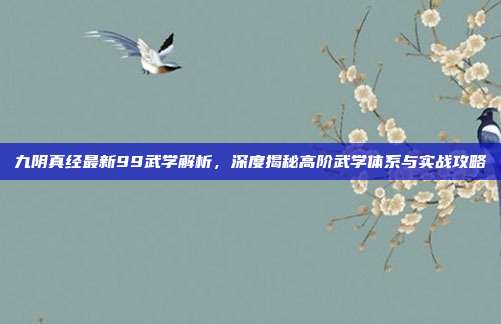 九阴真经最新99武学解析,深度揭秘高阶武学体系与实战攻略