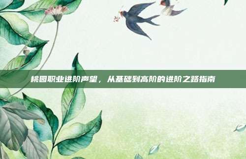 桃园职业进阶声望,从基础到高阶的进阶之路指南