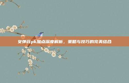 女弹药pk加点深度解析,策略与技巧的完美结合
