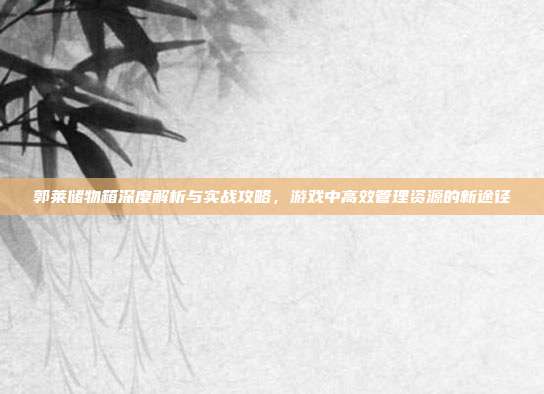 郭莱储物箱深度解析与实战攻略，游戏中高效管理资源的新途径
