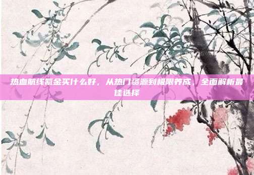 热血航线氪金买什么好,从热门资源到极限养成,全面解析最佳选择