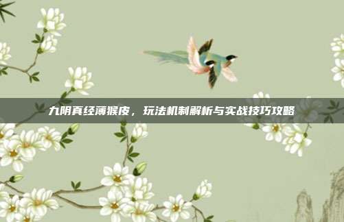 九阴真经薄猴皮,玩法机制解析与实战技巧攻略