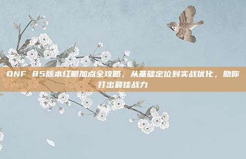 DNF 85版本红眼加点全攻略,从基础定位到实战优化,助你打出最佳战力