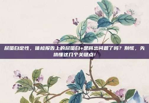 尿蛋白定性，体检报告上的尿蛋白+是肾出问题了吗？别慌，先搞懂这几个关键点！