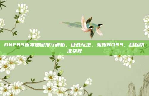 DNF85版本刷图排行解析，征战玩法，极限BOSS，目标精准获取