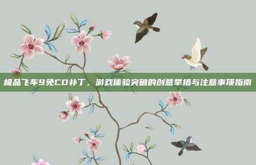 极品飞车9免CD补丁,游戏体验突破的创意举措与注意事项指南