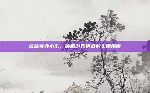 坑爹宝典小东,破解游戏挑战的实用指南