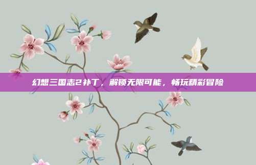 幻想三国志2补丁，解锁无限可能，畅玩精彩冒险