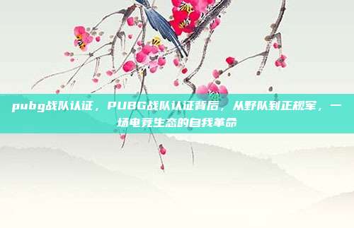 pubg战队认证，PUBG战队认证背后，从野队到正规军，一场电竞生态的自我革命