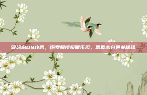 冒险岛DS攻略,探索解锁极限乐趣,赢取高分通关秘籍