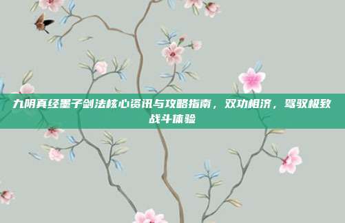 九阴真经墨子剑法核心资讯与攻略指南,双功相济,驾驭极致战斗体验