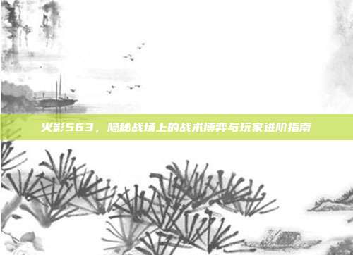 火影563,隐秘战场上的战术博弈与玩家进阶指南