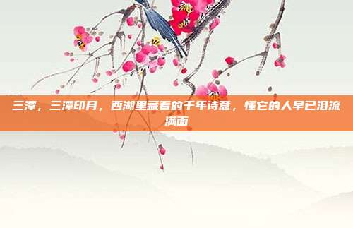 三潭，三潭印月，西湖里藏着的千年诗意，懂它的人早已泪流满面