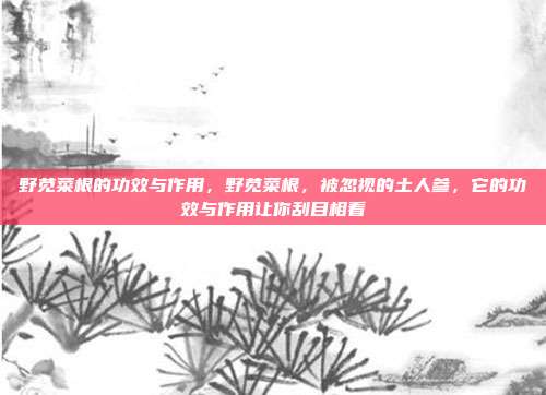 野苋菜根的功效与作用，野苋菜根，被忽视的土人参，它的功效与作用让你刮目相看