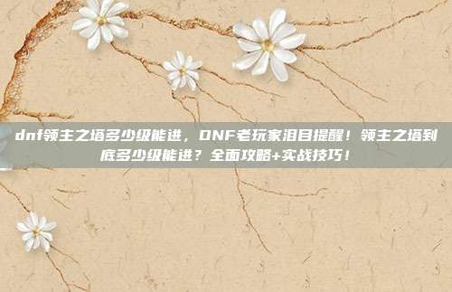 dnf领主之塔多少级能进，DNF老玩家泪目提醒！领主之塔到底多少级能进？全面攻略+实战技巧！