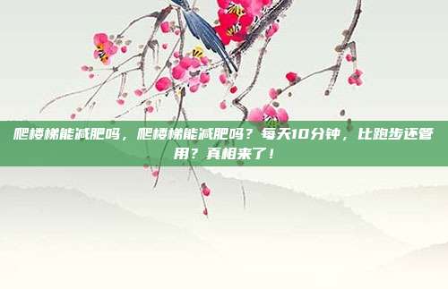 爬楼梯能减肥吗，爬楼梯能减肥吗？每天10分钟，比跑步还管用？真相来了！