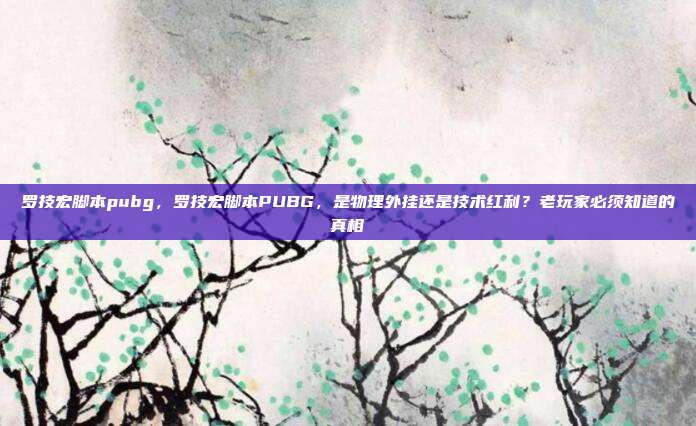 罗技宏脚本pubg，罗技宏脚本PUBG，是物理外挂还是技术红利？老玩家必须知道的真相