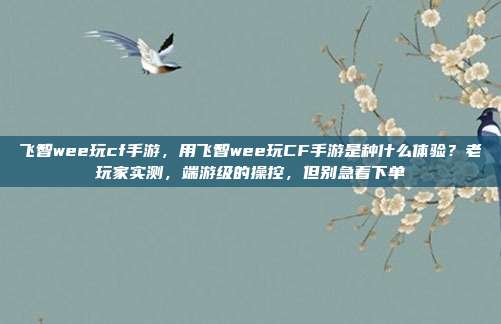 飞智wee玩cf手游，用飞智wee玩CF手游是种什么体验？老玩家实测，端游级的操控，但别急着下单