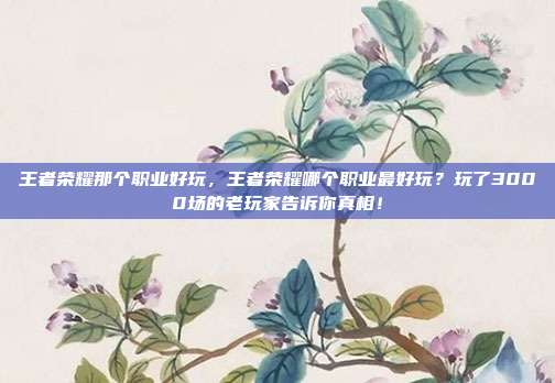王者荣耀那个职业好玩，王者荣耀哪个职业最好玩？玩了3000场的老玩家告诉你真相！