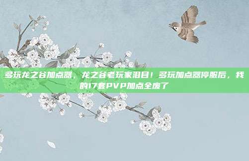 多玩龙之谷加点器，龙之谷老玩家泪目！多玩加点器停服后，我的17套PVP加点全废了