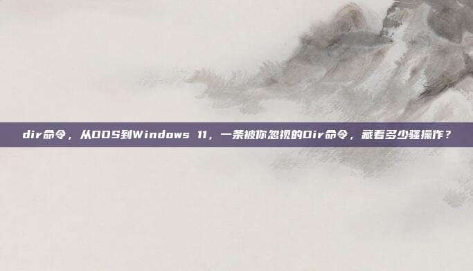 dir命令，从DOS到Windows 11，一条被你忽视的Dir命令，藏着多少骚操作？