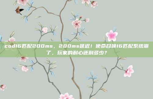 cod16匹配200ms，200ms延迟！使命召唤16匹配系统崩了，玩家的耐心还剩多少？