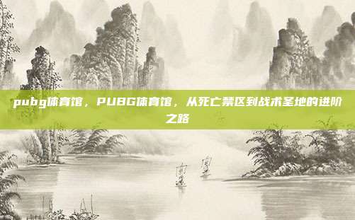 pubg体育馆，PUBG体育馆，从死亡禁区到战术圣地的进阶之路