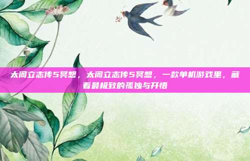 太阁立志传5冥想，太阁立志传5冥想，一款单机游戏里，藏着最极致的孤独与开悟