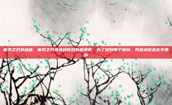 疾风之刃激活码，疾风之刃激活码背后的血泪史，为了抢到那个破码，我差点搭进去半条命