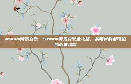 steam背景安装，Steam背景安装全攻略，从萌新到老司机的必备指南