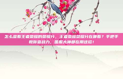 怎么查看王者荣耀的荣耀分，王者荣耀荣耀分在哪看？手把手教你查战力，国服大神都在用这招！