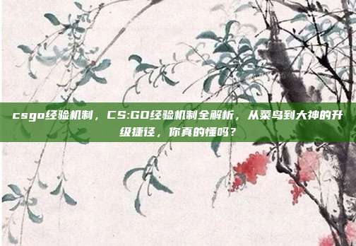 csgo经验机制，CS:GO经验机制全解析，从菜鸟到大神的升级捷径，你真的懂吗？
