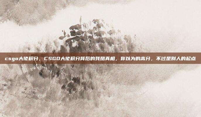 csgo大佬积分，CSGO大佬积分背后的残酷真相，你以为的高分，不过是别人的起点
