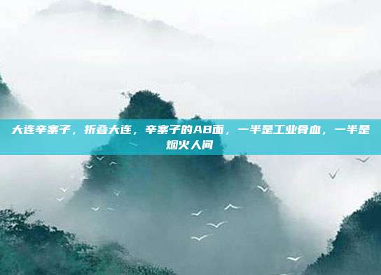 大连辛寨子，折叠大连，辛寨子的AB面，一半是工业骨血，一半是烟火人间