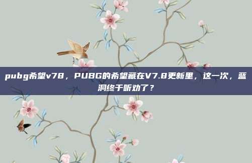 pubg希望v78，PUBG的希望藏在V7.8更新里，这一次，蓝洞终于听劝了？