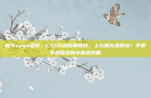调节csgo滤镜，CSGO滤镜调得好，上分爆头没烦恼！手把手教你定制专属透视眼