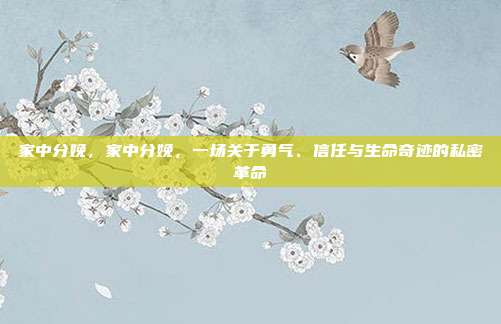 家中分娩，家中分娩，一场关于勇气、信任与生命奇迹的私密革命