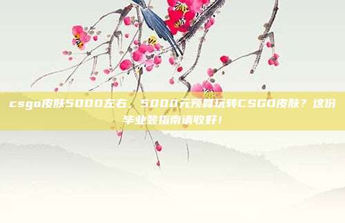 csgo皮肤5000左右，5000元预算玩转CSGO皮肤？这份毕业装指南请收好！