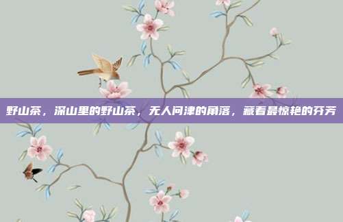 野山茶，深山里的野山茶，无人问津的角落，藏着最惊艳的芬芳