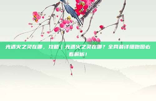 光遇火之灵在哪，攻略｜光遇火之灵在哪？全网最详细跑图必看解析！