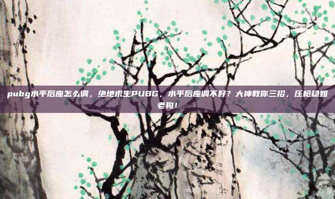 pubg水平后座怎么调,绝地求生PUBG,水平后座调不好?大神教你三招,压枪稳如老狗!