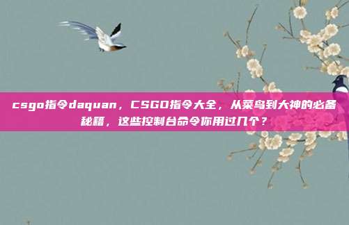 csgo指令daquan，CSGO指令大全，从菜鸟到大神的必备秘籍，这些控制台命令你用过几个？