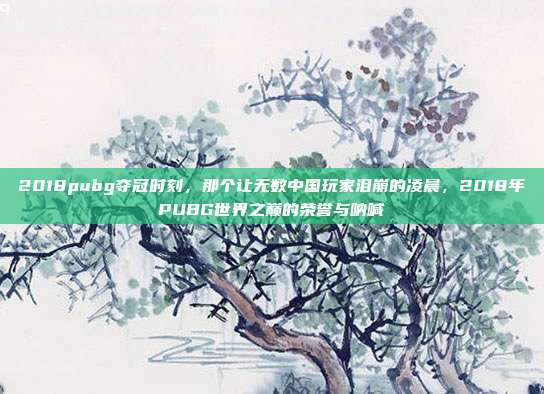 2018pubg夺冠时刻，那个让无数中国玩家泪崩的凌晨，2018年PUBG世界之巅的荣誉与呐喊