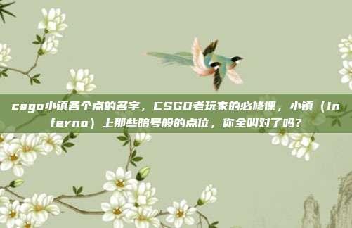 csgo小镇各个点的名字，CSGO老玩家的必修课，小镇（Inferno）上那些暗号般的点位，你全叫对了吗？
